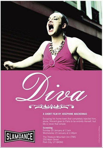 Movie poster for Diva (2007)