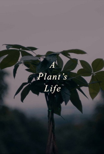 Movie poster for A Plant's Life (2021)