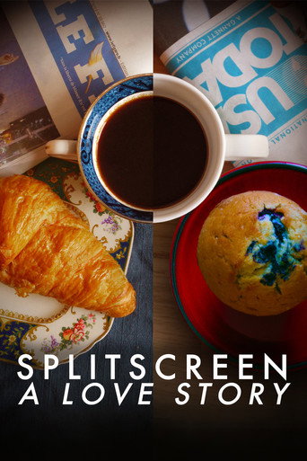 Movie poster for Splitscreen: A Love Story (2011)