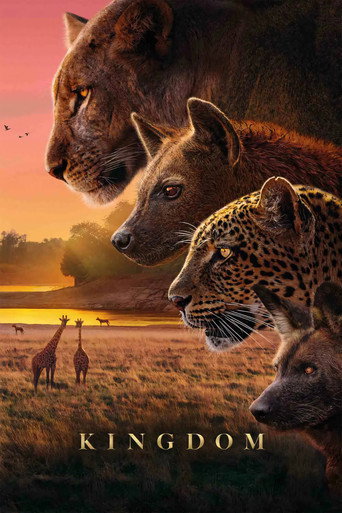 Series poster for Kingdom (2025)