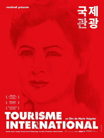 Movie poster for International Tourism (2014)