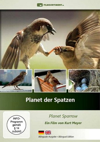 Movie poster for Planet der Spatzen (2017)