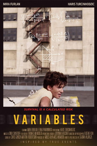 Variables poster