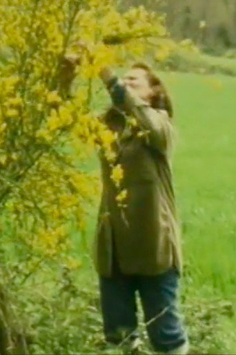 Movie poster for Gisèle Jan-Simon, mirror and fairy (1983)