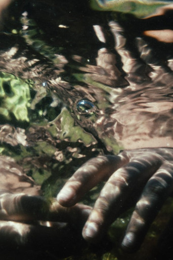 Missä valo hajoaa sirpaleiksi poster