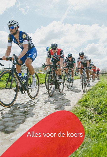 Alles voor de koers poster