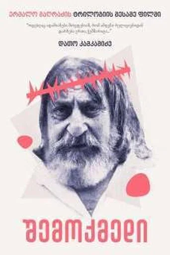 Movie poster for The Creator (2018)