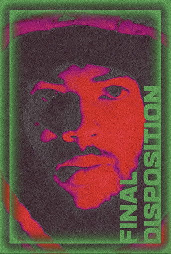 Final Disposition poster