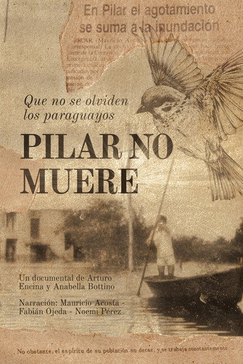 Movie poster for Pilar won't die (2025)