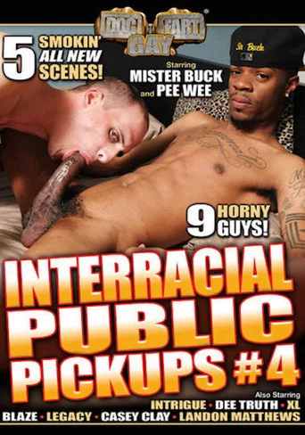 Movie poster for Interracial Public Pickups 4 (2015)
