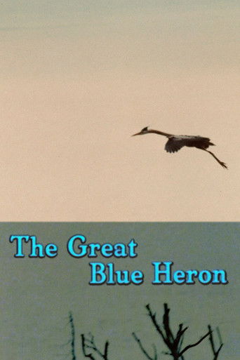 The Great Blue Heron poster