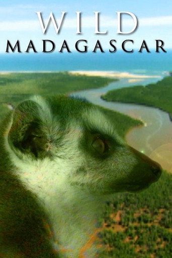 Movie poster for Wild Madagascar