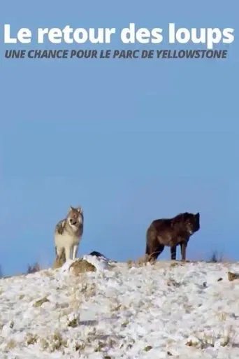 Movie poster for The Return of the Wolves: The Miracle in Yellowstone National Park (2017)
