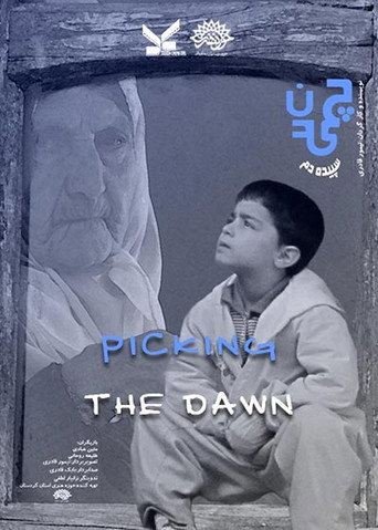 Movie poster for Picking the Dawn (2011)