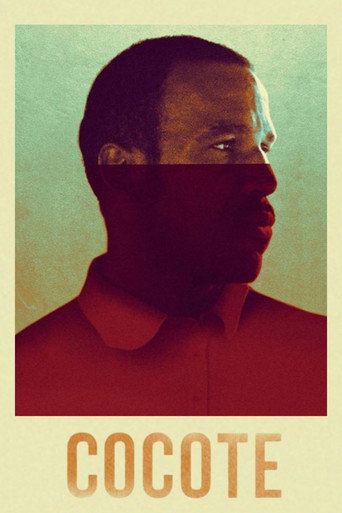Movie poster for Cocote (2017)