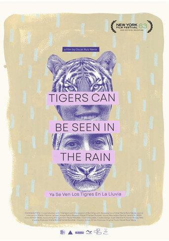 Movie poster for Tigers Can Be Seen In The Rain (2025)