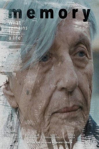 Movie poster for Memory (2019)