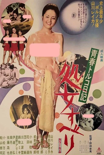 Movie poster for 青春トルコ日記 処女すべり (1975)