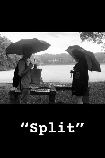 Movie poster for Split (2023)