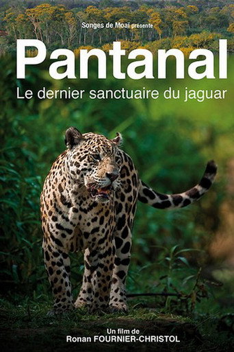 Movie poster for Pantanal, le dernier sanctuaire du jaguar (2010)