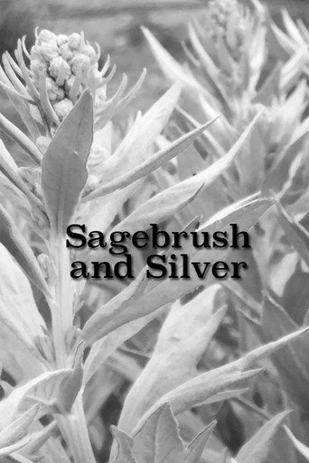 Movie poster for Sagebrush and Silver (1941)