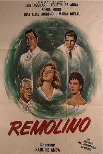 Remolino poster