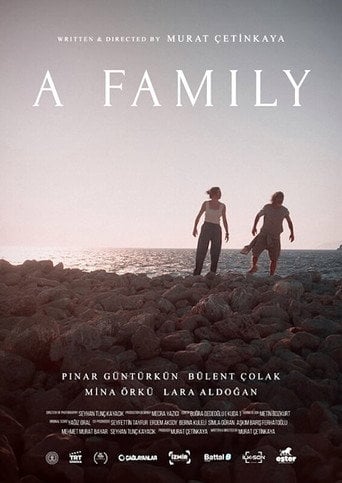 Movie poster for A Family (2024)