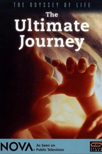 Movie poster for Odyssey of Life (1996)