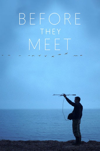 Movie poster for Before They Meet (2021)