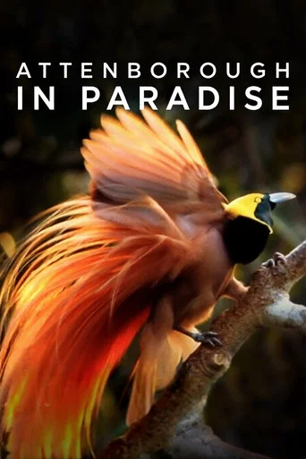 Movie poster for Attenborough in Paradise (1996)