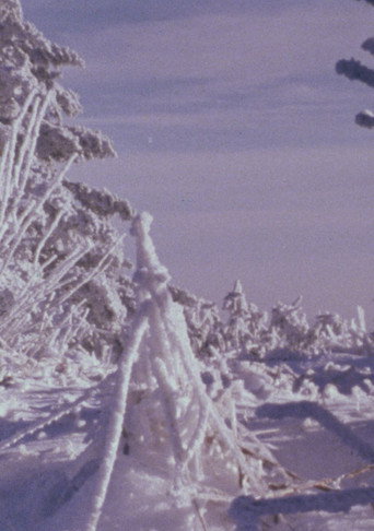 Movie poster for Roan Mountain Eulogy (1979)