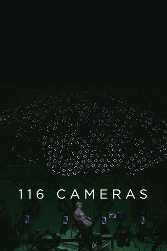 Movie poster for 116 Cameras (2017)