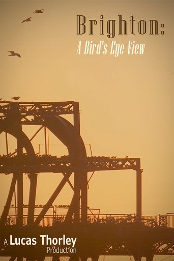 Movie poster for Brighton: A Bird's Eye View (2023)