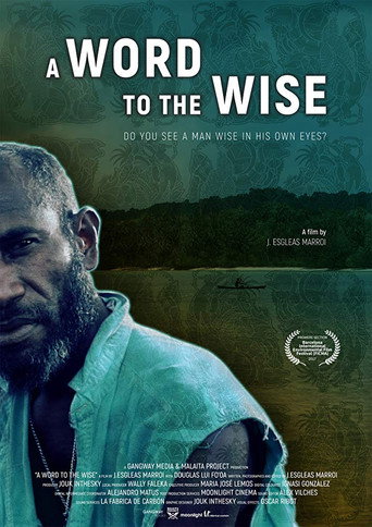 Movie poster for A Word to the Wise (2017)