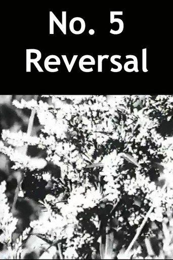 Movie poster for No. 5 Reversal (1989)