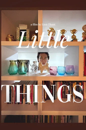 Movie poster for little things (2023)