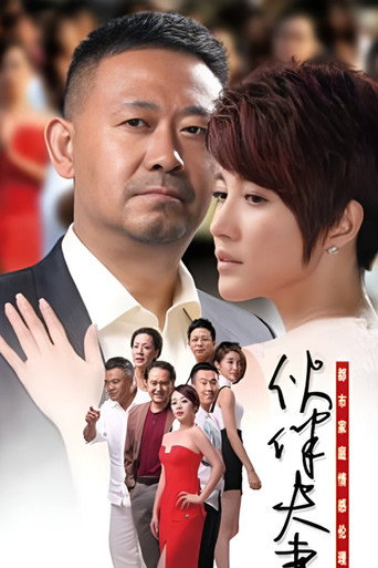 伙伴夫妻 poster