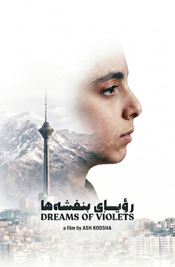 Movie poster for Dreams of Violets (2026)