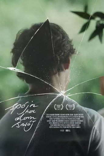 Movie poster for Look Homeward (2025)