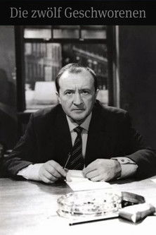 The Twelve Jurors poster