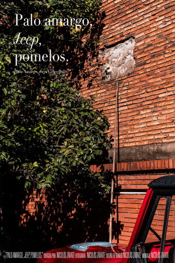 Movie poster for Palo Amargo, Jeep, Grapefruits (2020)