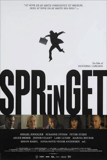 Movie poster for The Leap (2005)