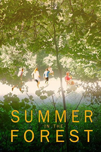 Movie poster for Summer in the Forest (2017)