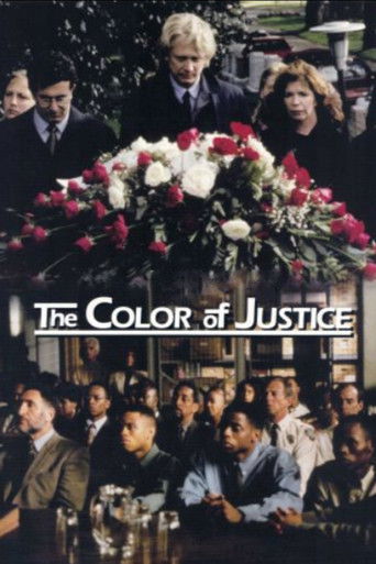 Color of Justice poster