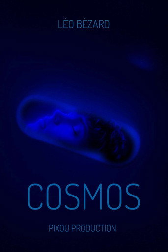 Movie poster for Cosmos (2025)