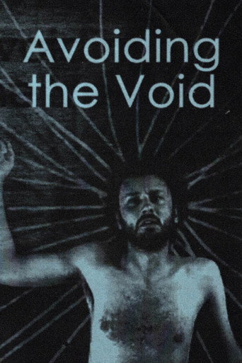 Movie poster for Avoiding the Void