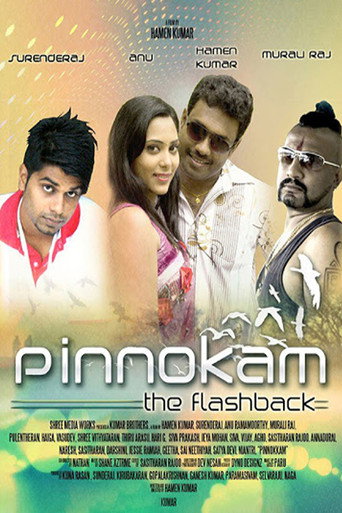 Movie poster for Pinnokam (2015)