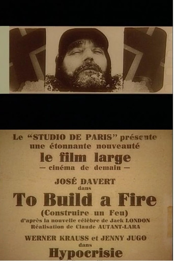Movie poster for To Build a Fire (1928)