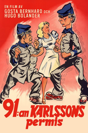 91:an Karlssons permis poster