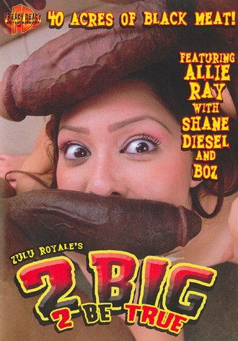Movie poster for 2 Big 2 Be True (2006)